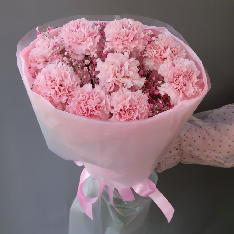 Купить букет из 9 розовых диантусов и гипсофилы в Омске с бесплатной доставкой