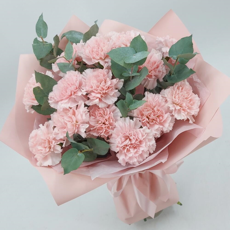 Купить букет из 15 розовых диантусов и эвкалипта в Омске с бесплатной доставкой