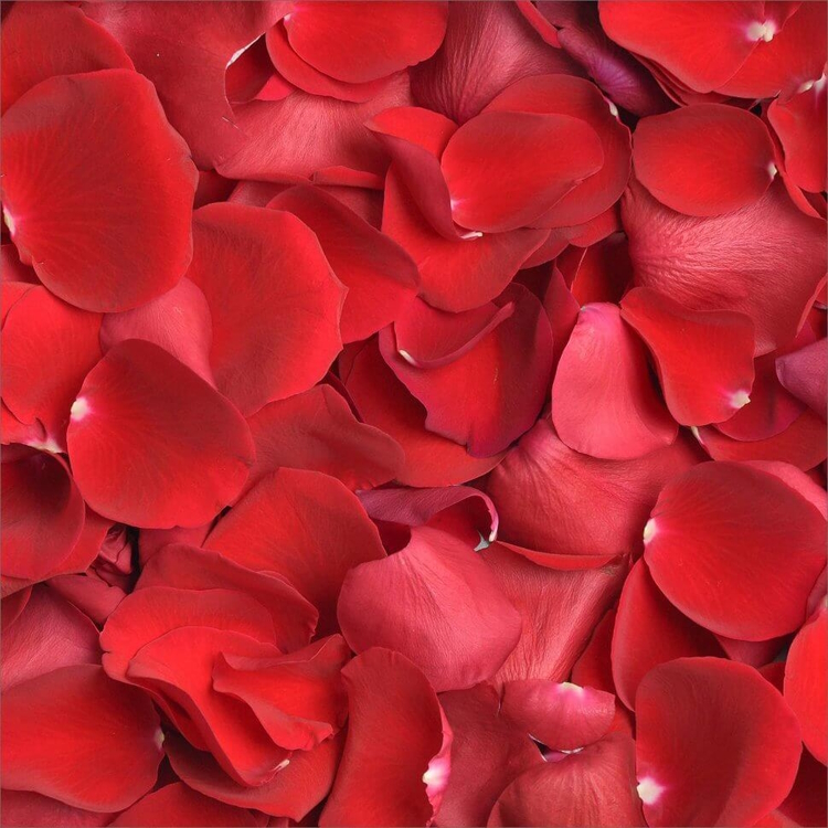 Купить лепестки красных роз в Омске с бесплатной доставкой